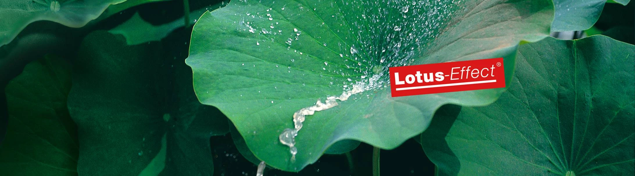 Sto Építőanyag Kft. - Homlokzatvakolatok és beltéri festékek