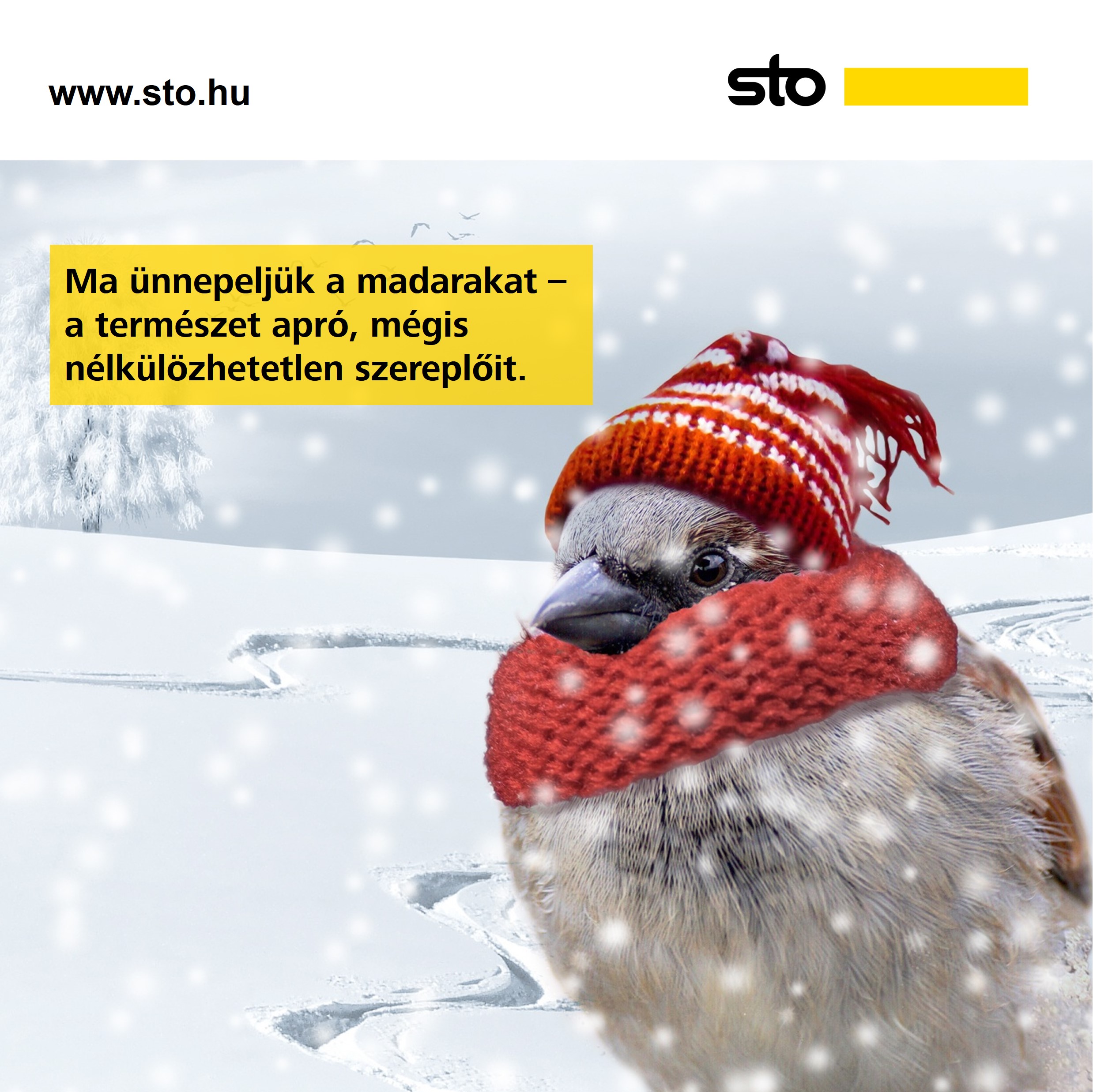 Január 5. - Országos Madárnap