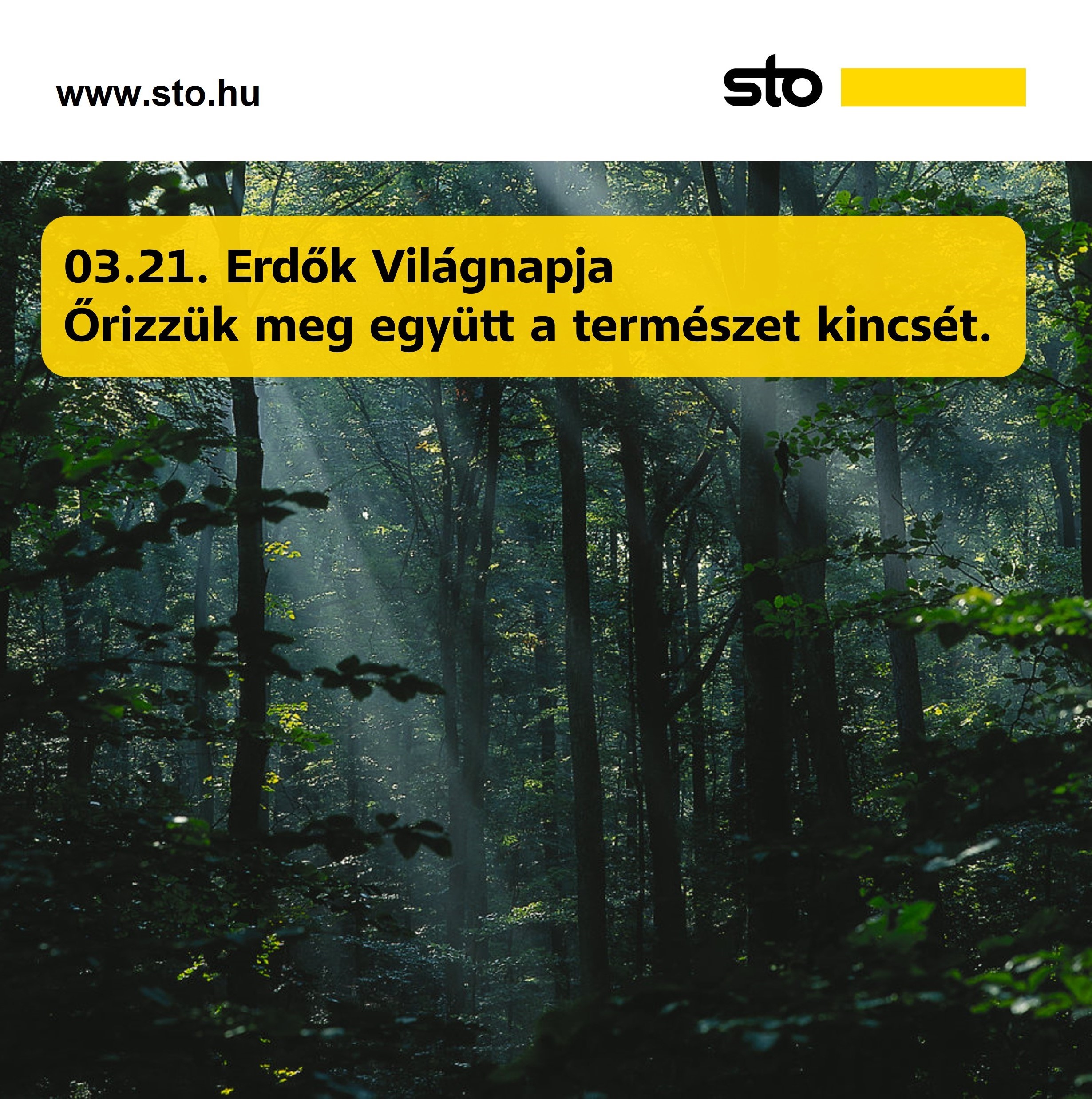 Erdők Világnapján közösen a természetért